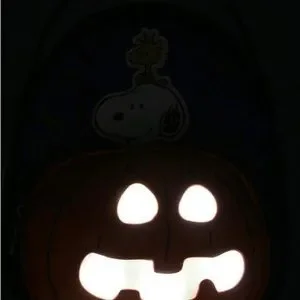 Bioworld | Bags | Peanuts Snoopy Woodstock The Great Pumpkin  display picture 3